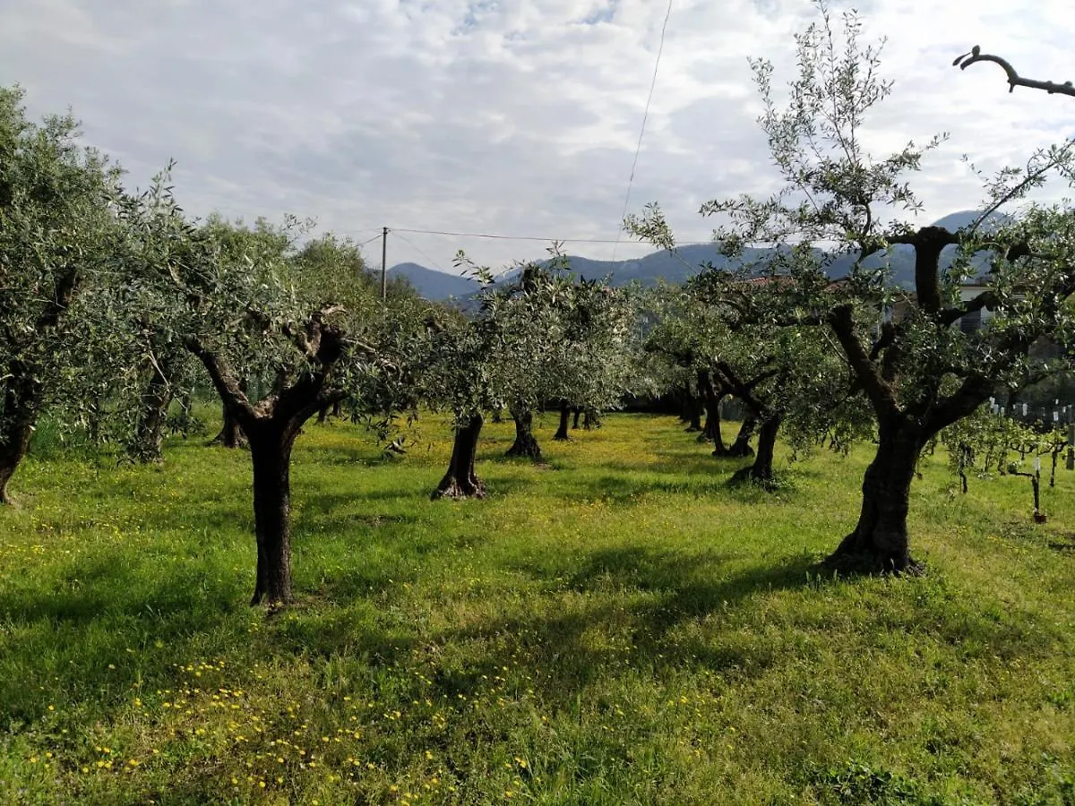 Agriturismo La Vite Maritata Pietrasanta Vakantieboerderij
